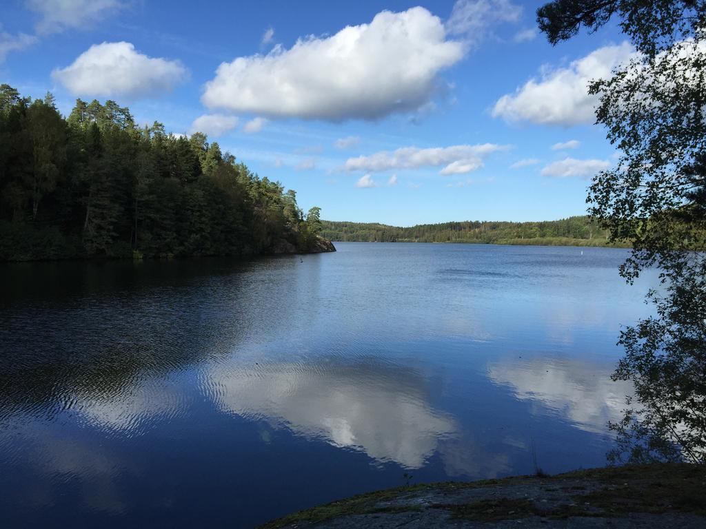 Borgdala Stugor Ödkarby Pokoj fotografie