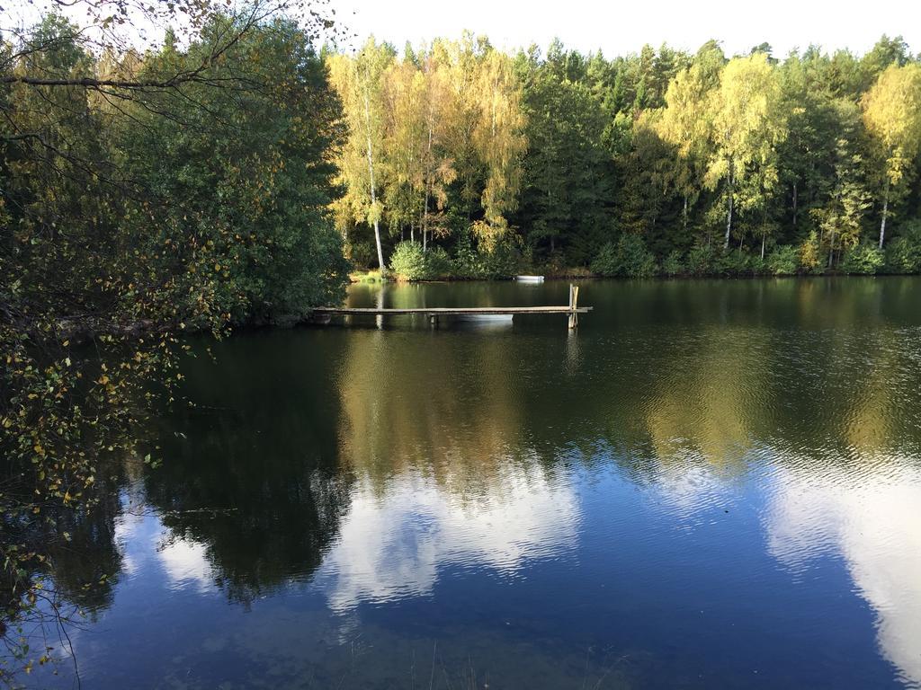 Borgdala Stugor Ödkarby Pokoj fotografie