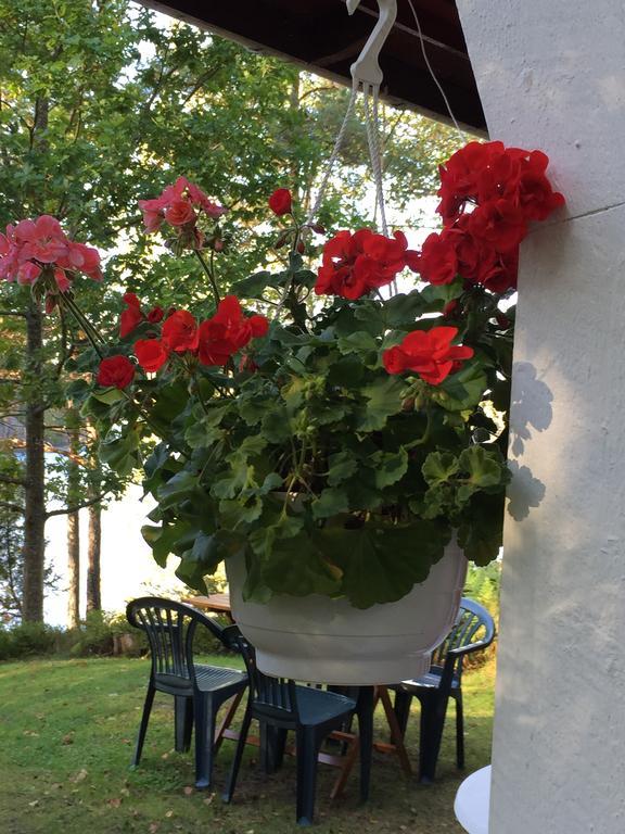 Borgdala Stugor Ödkarby Pokoj fotografie
